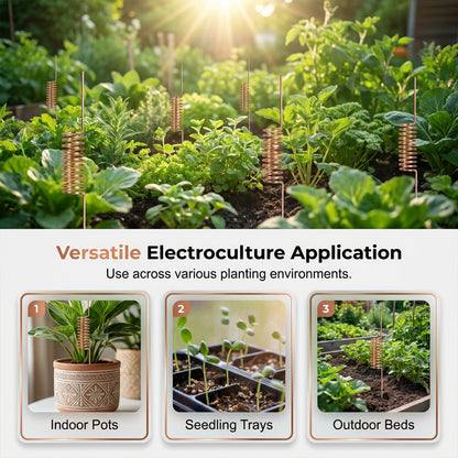 🔥Last Day Sale 50% OFF-Copper Spiral Antenna Plant Stakes🌻🌻