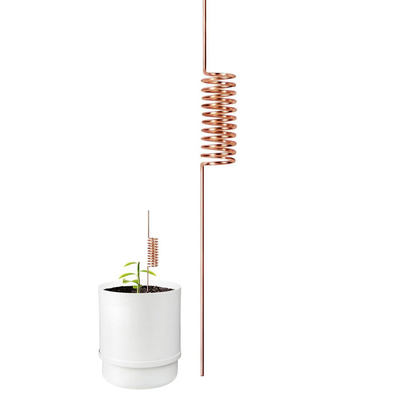 🔥Last Day Sale 50% OFF-Copper Spiral Antenna Plant Stakes🌻🌻
