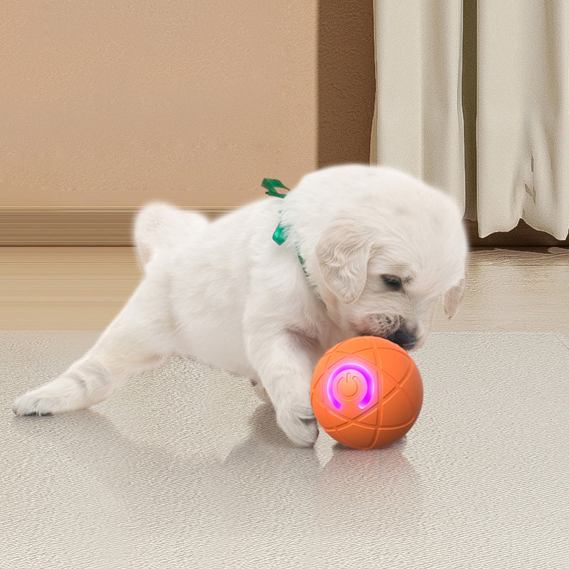 🔥Limited-time 50% off🐾Remote-controlled automatic bouncing smart pet ball—3 interactive modes | Chew-resistant | USB-C charging🎾