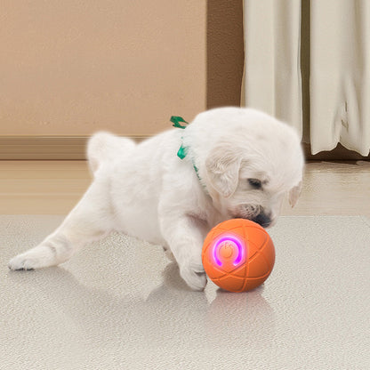 🔥Limited-time 50% off🐾Remote-controlled automatic bouncing smart pet ball—3 interactive modes | Chew-resistant | USB-C charging🎾