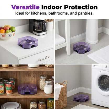 🪳 50% off! 🥳 Over 50,000 units sold in 2026! ♻️ Reusable cockroach trap – physical capture, no toxic spray required.
