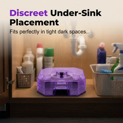 🪳 50% off! 🥳 Over 50,000 units sold in 2026! ♻️ Reusable cockroach trap – physical capture, no toxic spray required.