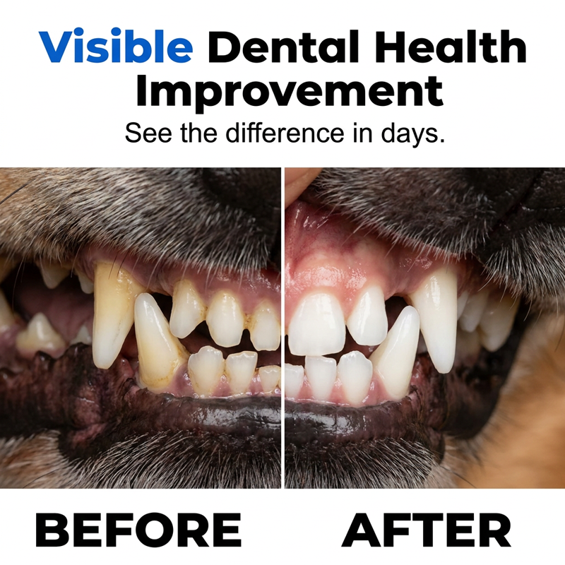 🐾50% OFF NOW! 🔥Buy 1 Get 1 Free✨Gentle Pet Dental Cleaning Spray‑ Vet‑Formulated Tartar Remover Spray for Dogs & Cats, Safe Oral Care Solution to Eliminate Bad Breath & Reduce Plaque