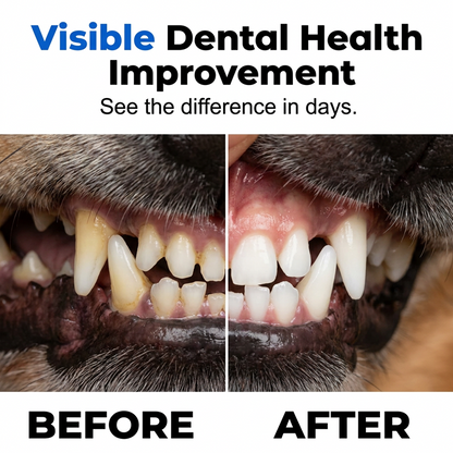 🐾50% OFF NOW! 🔥Buy 1 Get 1 Free✨Gentle Pet Dental Cleaning Spray‑ Vet‑Formulated Tartar Remover Spray for Dogs & Cats, Safe Oral Care Solution to Eliminate Bad Breath & Reduce Plaque