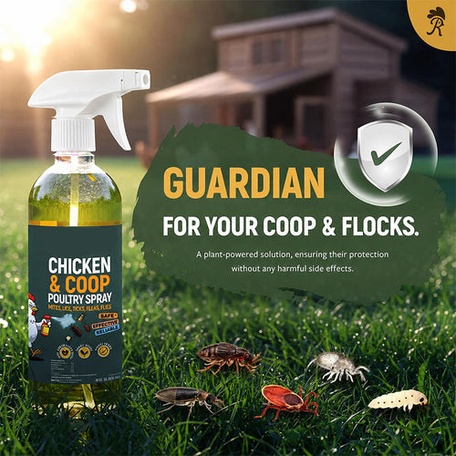 🎉Christmas Special Buy 1 Get 1 Free🎉 Natural Poultry Coop Cleaning Spray