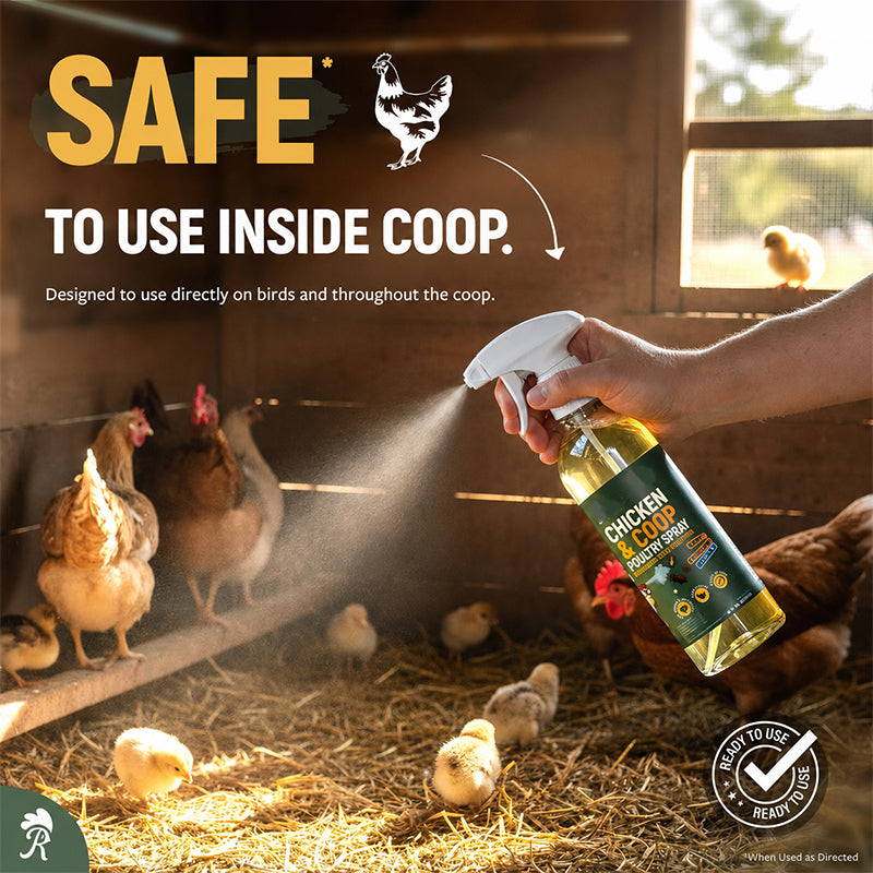 🎉Christmas Special Buy 1 Get 1 Free🎉 Natural Poultry Coop Cleaning Spray
