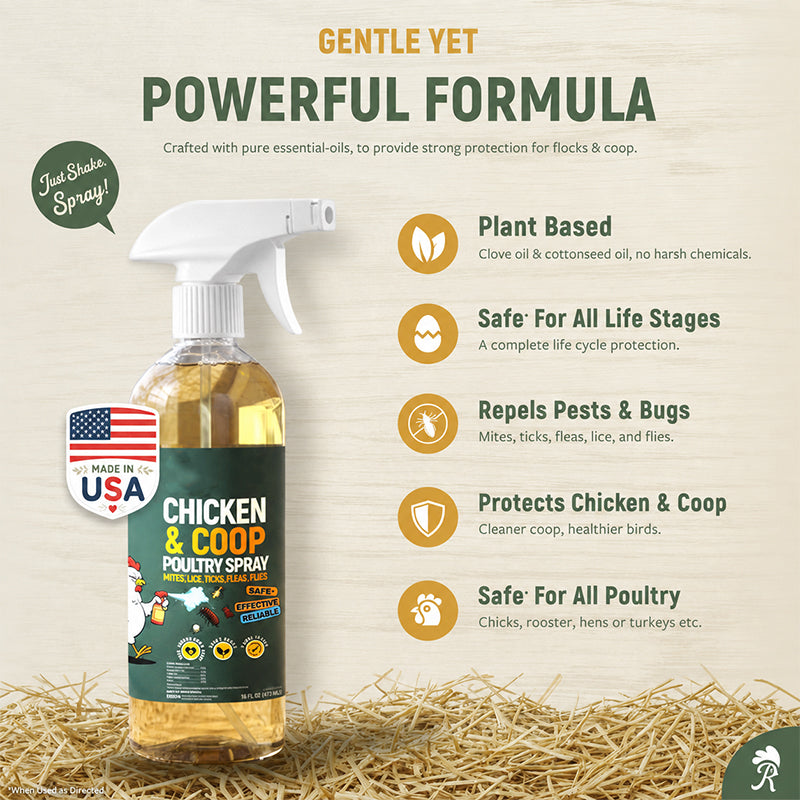 🎉Christmas Special Buy 1 Get 1 Free🎉 Natural Poultry Coop Cleaning Spray