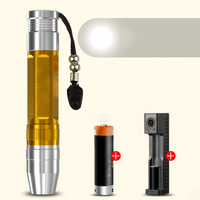 White Light (1 Battery + 1 Charger + 1 Spotlight)