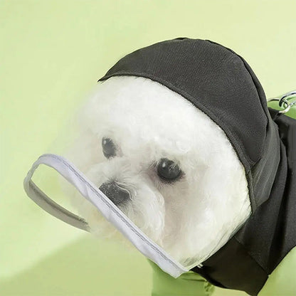 🔥LIMITED-TIME 50% OFF! ⏰Full-Coverage Pet Raincoat – Waterproof & Easy to Wear🌧️