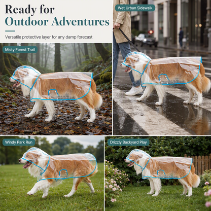 🐕New Arrivals 50% OFF📢 Transparent Waterproof Dog Raincoat – Keep Your Pup Dry & Visible on Rainy Walks 🌧️