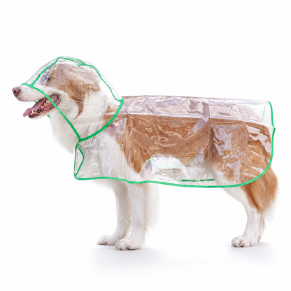 🐕New Arrivals 50% OFF📢 Transparent Waterproof Dog Raincoat – Keep Your Pup Dry & Visible on Rainy Walks 🌧️