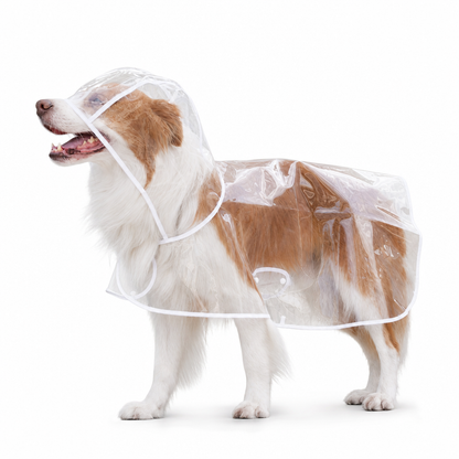 🐕New Arrivals 50% OFF📢 Transparent Waterproof Dog Raincoat – Keep Your Pup Dry & Visible on Rainy Walks 🌧️