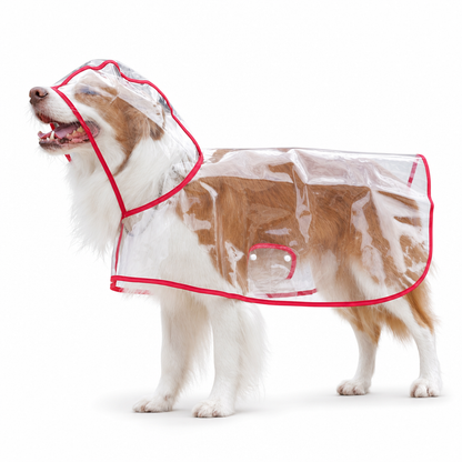 🐕New Arrivals 50% OFF📢 Transparent Waterproof Dog Raincoat – Keep Your Pup Dry & Visible on Rainy Walks 🌧️